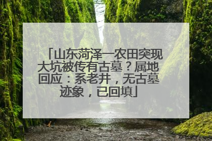 山东菏泽一农田突现大坑被传有古墓？属地回应：系老井，无古墓迹象，已回填