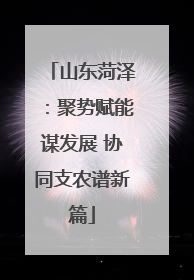 山东菏泽：聚势赋能谋发展 协同支农谱新篇