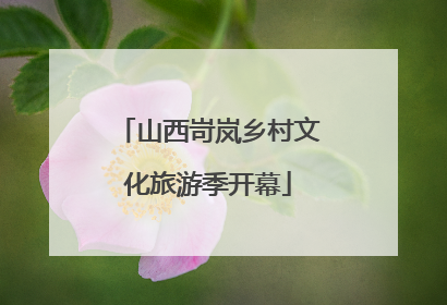山西岢岚乡村文化旅游季开幕