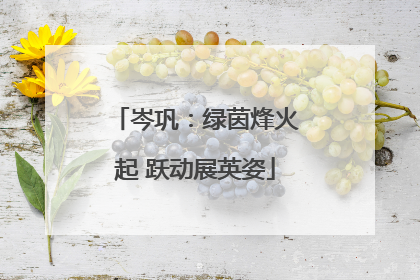 岑巩：绿茵烽火起 跃动展英姿