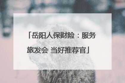 岳阳人保财险：服务旅发会 当好推荐官