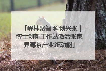 峰林聚智 科创兴张｜博士创新工作站激活张家界莓茶产业新动能