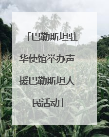 巴勒斯坦驻华使馆举办声援巴勒斯坦人民活动