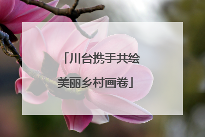 川台携手共绘美丽乡村画卷