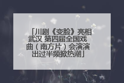川剧《变脸》亮相武汉 第四届全国戏曲（南方片）会演演出过半频掀热潮