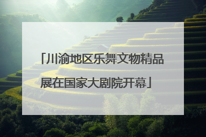 川渝地区乐舞文物精品展在国家大剧院开幕