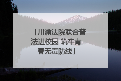 川渝法院联合普法进校园 筑牢青春无毒防线