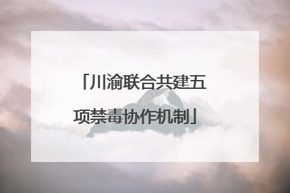 川渝联合共建五项禁毒协作机制