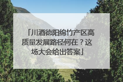 川酒德阳绵竹产区高质量发展路径何在？这场大会给出答案