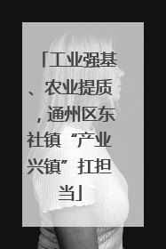 工业强基、农业提质，通州区东社镇“产业兴镇”扛担当