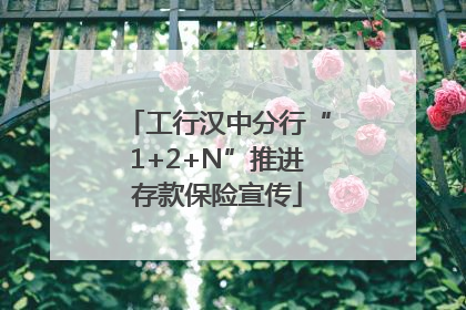 工行汉中分行“1+2+N”推进存款保险宣传