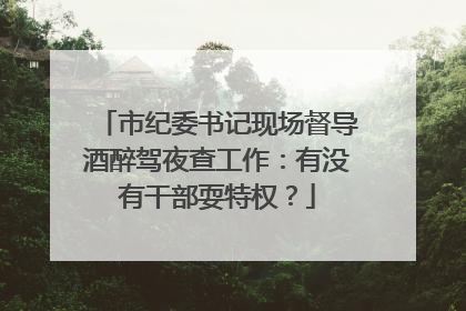 市纪委书记现场督导酒醉驾夜查工作：有没有干部耍特权？