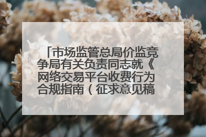 市场监管总局价监竞争局有关负责同志就《网络交易平台收费行为合规指南（征求意见稿）》答记者问