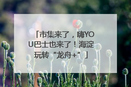 市集来了，嗨YOU巴士也来了！海淀玩转“龙舟+”