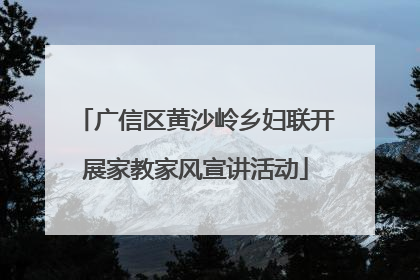 广信区黄沙岭乡妇联开展家教家风宣讲活动