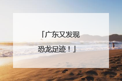 广东又发现恐龙足迹！