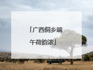 广西侗乡端午荷韵浓