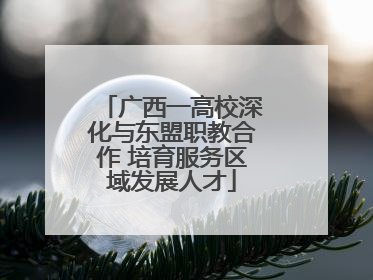 广西一高校深化与东盟职教合作 培育服务区域发展人才
