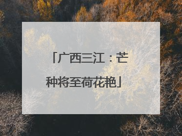 广西三江：芒种将至荷花艳