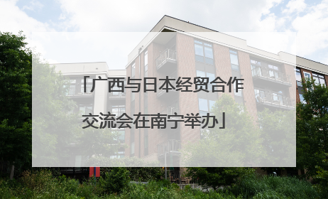 广西与日本经贸合作交流会在南宁举办