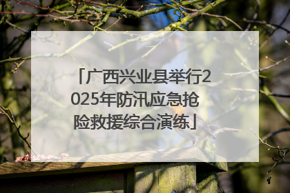 广西兴业县举行2025年防汛应急抢险救援综合演练
