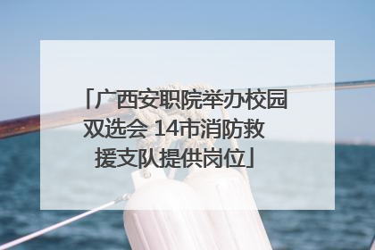 广西安职院举办校园双选会 14市消防救援支队提供岗位