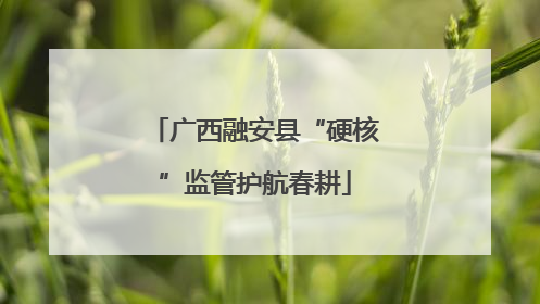 广西融安县“硬核”监管护航春耕