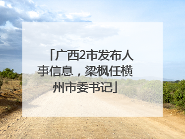 广西2市发布人事信息，梁枫任横州市委书记