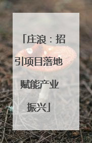 庄浪：招引项目落地 赋能产业振兴