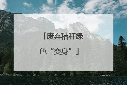 废弃秸秆绿色“变身”