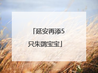 延安再添5只朱鹮宝宝
