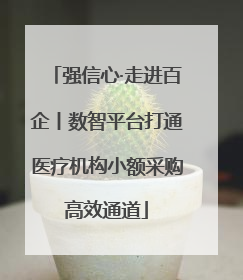强信心·走进百企丨数智平台打通医疗机构小额采购高效通道