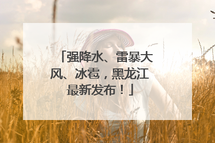 强降水、雷暴大风、冰雹，黑龙江最新发布！