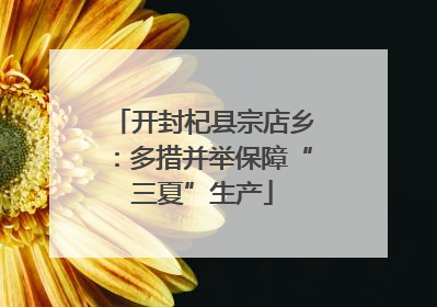 开封杞县宗店乡：多措并举保障“三夏”生产