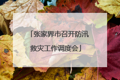 张家界市召开防汛救灾工作调度会