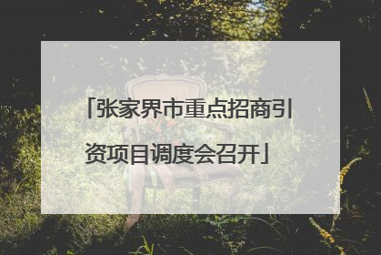 张家界市重点招商引资项目调度会召开