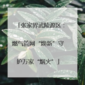 张家界武陵源区：燃气管网“焕新”守护万家“烟火”