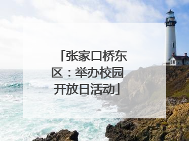 张家口桥东区：举办校园开放日活动