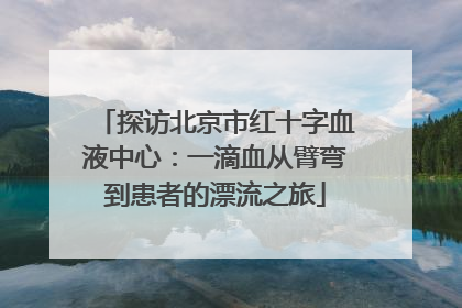 探访北京市红十字血液中心：一滴血从臂弯到患者的漂流之旅