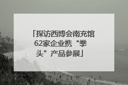 探访西博会南充馆 62家企业携“拳头”产品参展