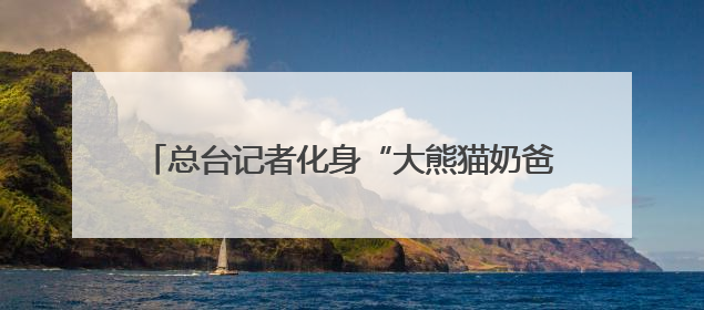 总台记者化身“大熊猫奶爸” 独家揭秘国宝可爱日常