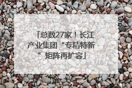 总数27家！长江产业集团“专精特新”矩阵再扩容