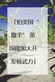 怕美国“撒手” 英国欲加大开发核武力