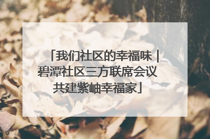 我们社区的幸福味｜碧潭社区三方联席会议共建紫岫幸福家