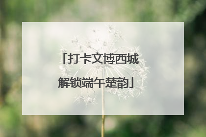 打卡文博西城 解锁端午楚韵