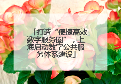 打造“便捷高效数字服务圈”，上海启动数字公共服务体系建设