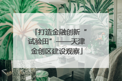 打造金融创新“试验田”——天津金创区建设观察