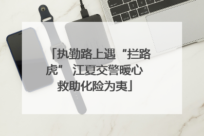执勤路上遇“拦路虎” 江夏交警暖心救助化险为夷