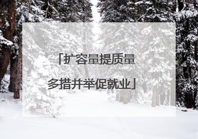 扩容量提质量 多措并举促就业