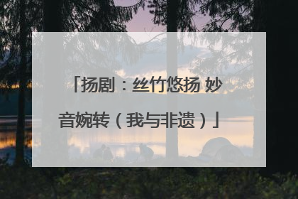 扬剧：丝竹悠扬 妙音婉转（我与非遗）